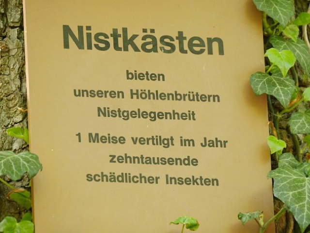 3220798-01.jpeg