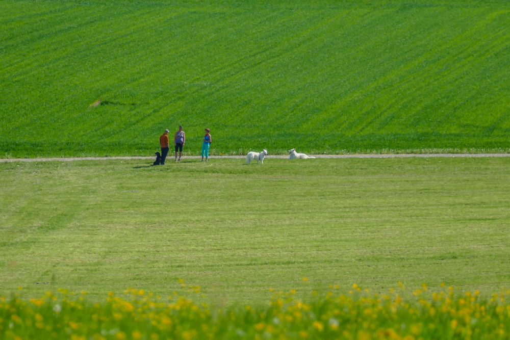 P1050160.jpg