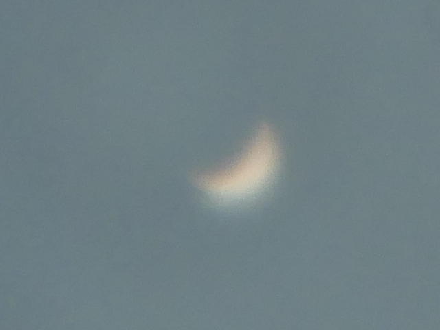 Venus26042020_9h46.jpg