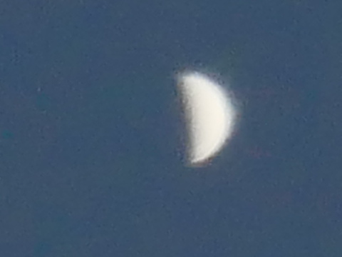 Venus5April2020-1.jpg