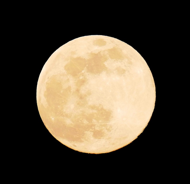 P1020194b.JPG