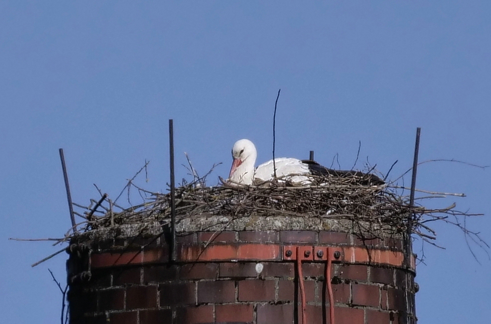 comp__1001141 Aichach.jpg