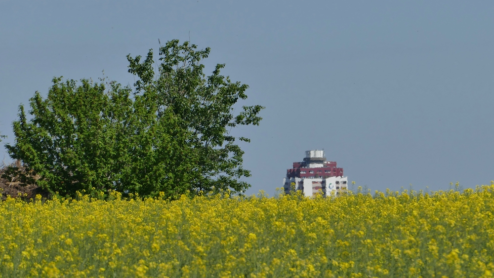 verkl.P1490417.jpg