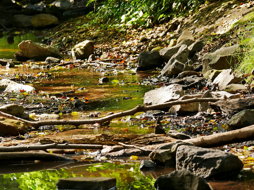 P1040209k.JPG