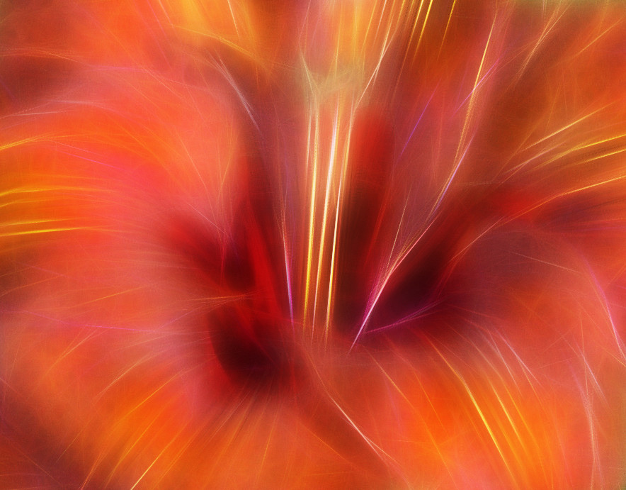 Amaryllis fractalius komprimiert.jpg