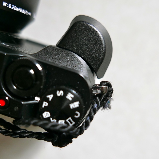 GX80 - mit und ohne Handgriff – 12.jpg