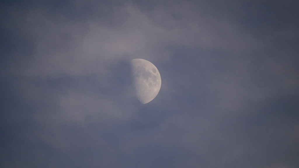 P1020240_R10.jpg