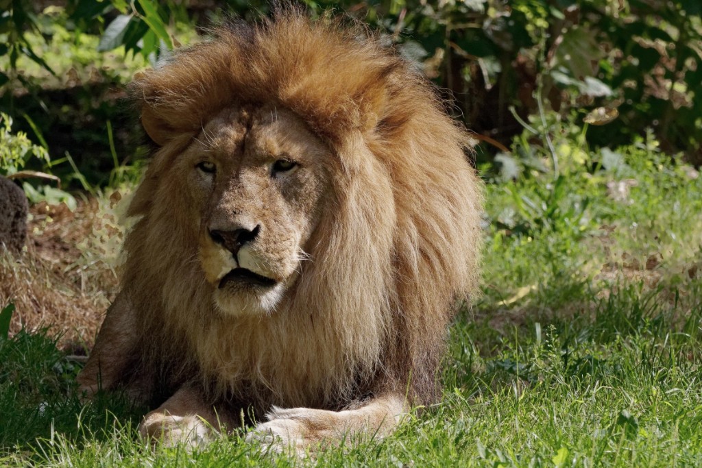 image001_DxO.jpg
