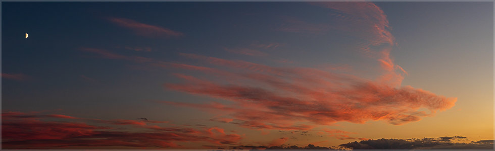 200825_For_1180944P.jpg