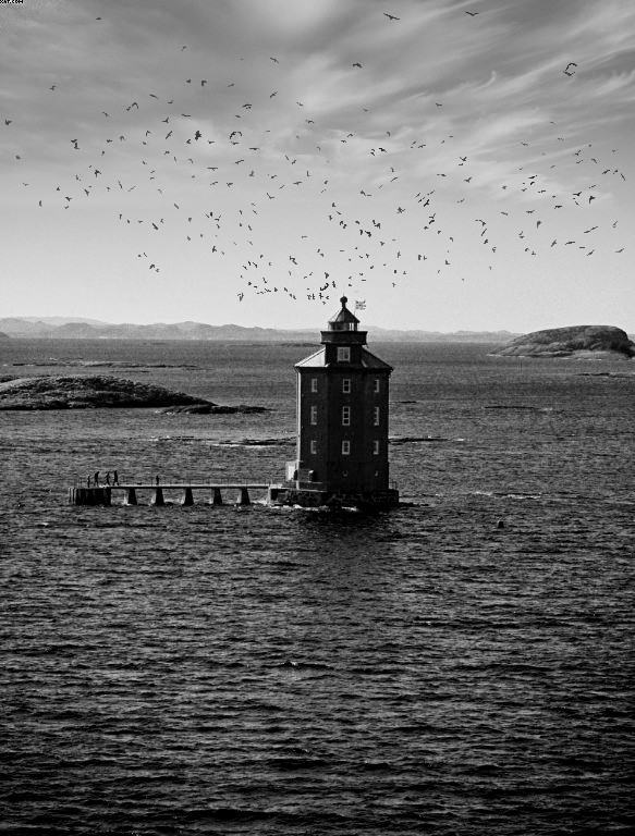 Herbstlicher Vogelflug.jpg