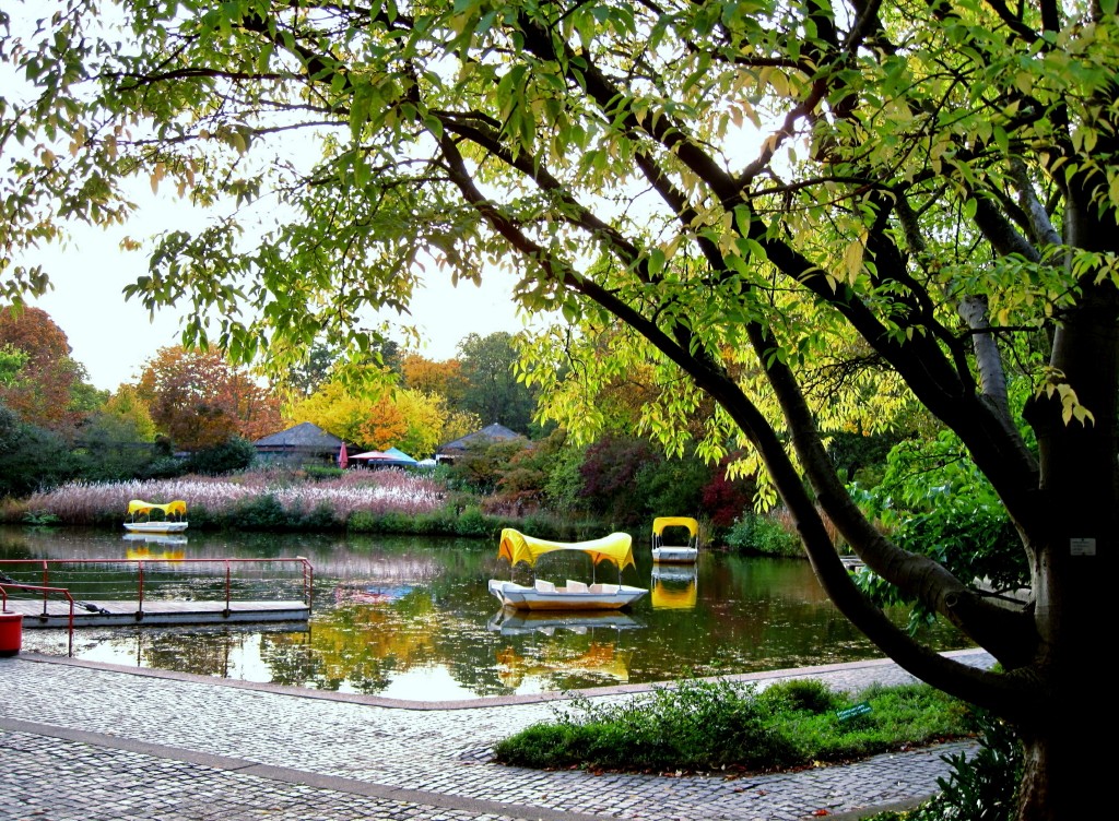 Herbst am Wasser.jpg