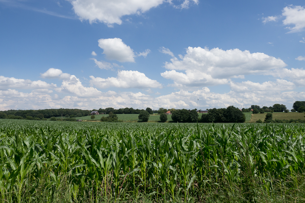 Landschaft.jpg