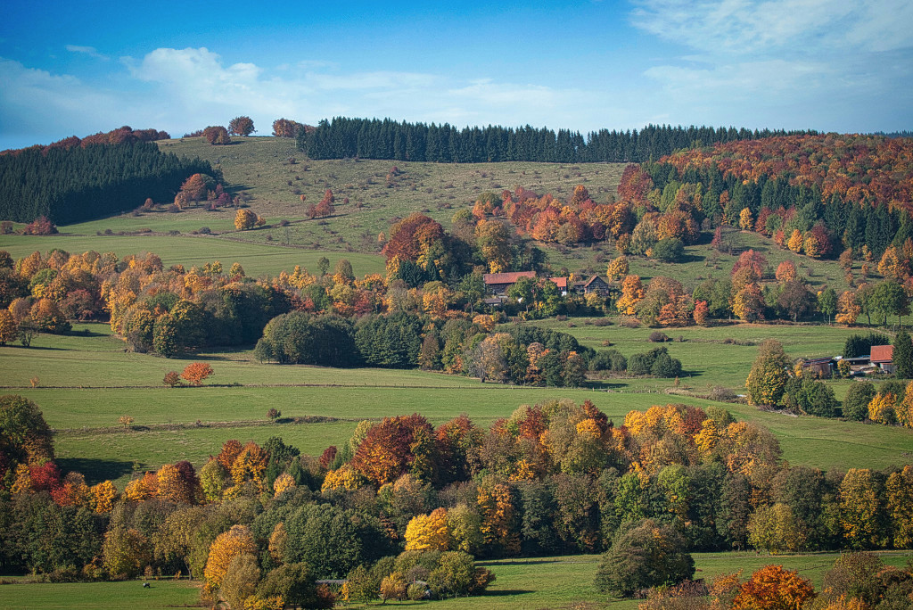PA117209.jpg