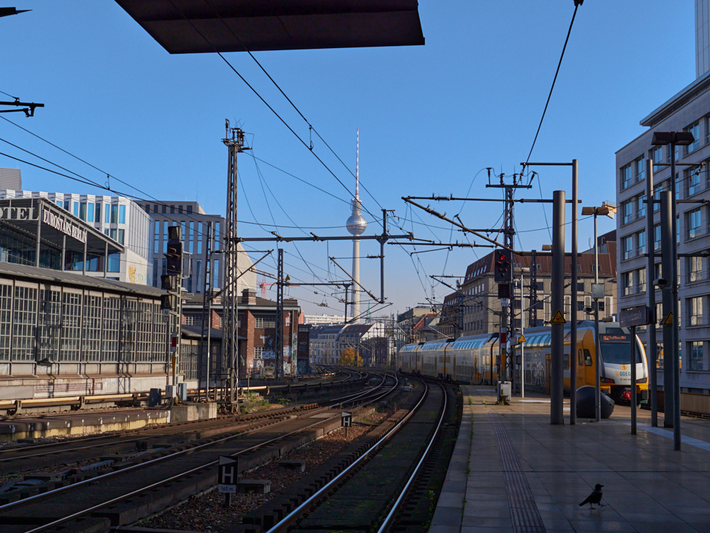 Panasonic-DC-G9_-_2020-11-08 12.37.58_-_02254 3.jpg