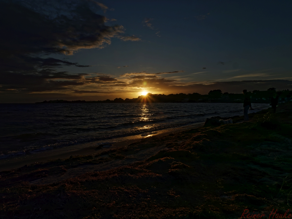 _1220845_DxO-1.jpg
