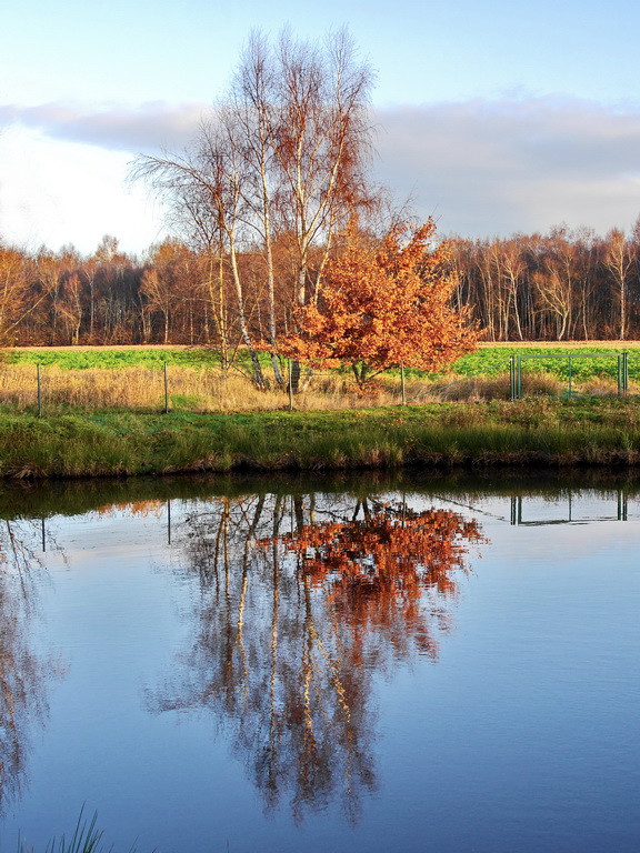 Am Teich.JPG