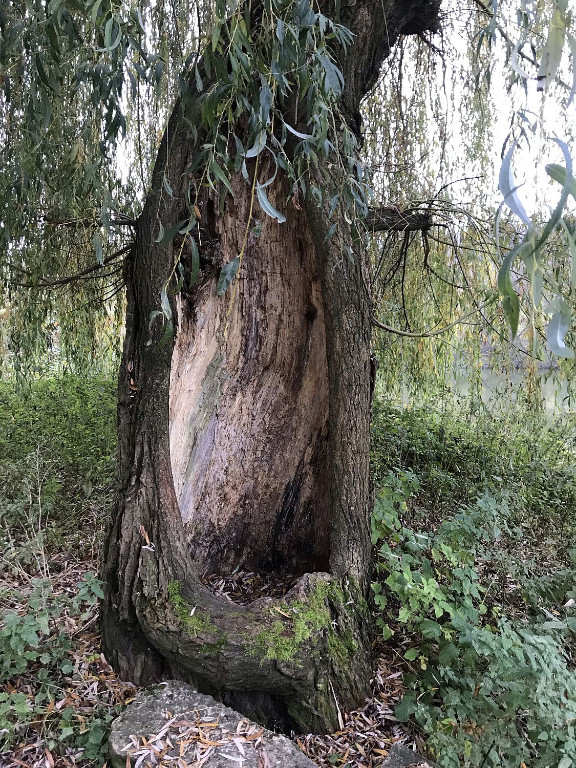 IMG_8995 32 bearbt.jpg