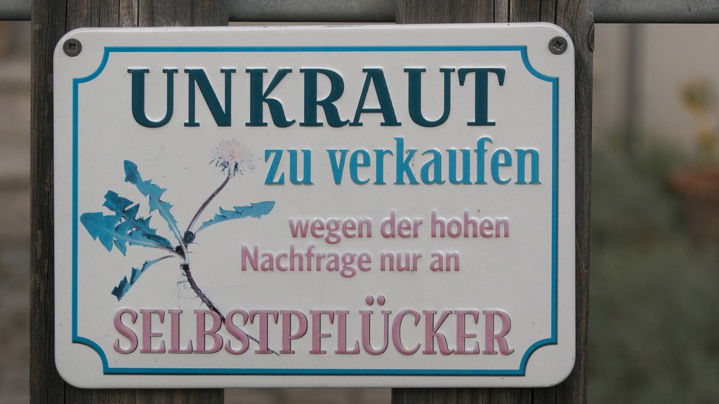 P1040517_R10.jpg