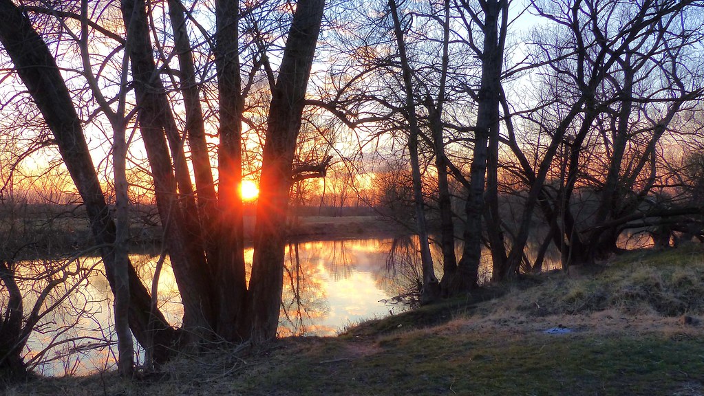 Sonnenuntergang Gegenlicht.jpg