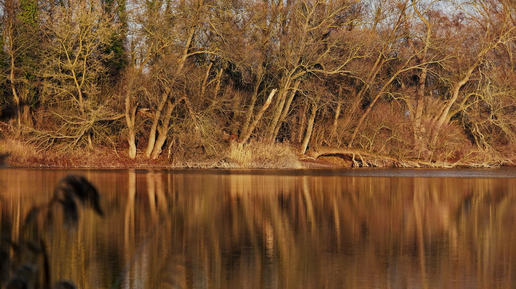 P1250829_DxOsm.jpg