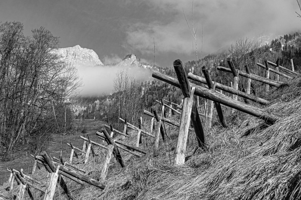 P1140729-2.jpg