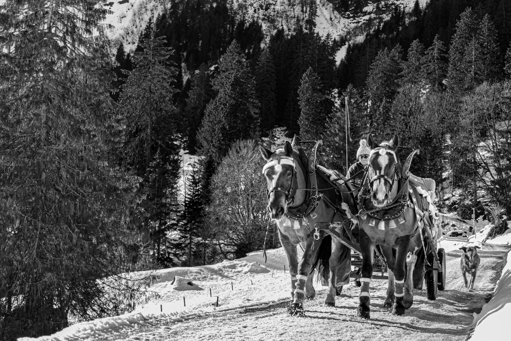 305_Glarnerland_107_20201218_P1140188.jpg