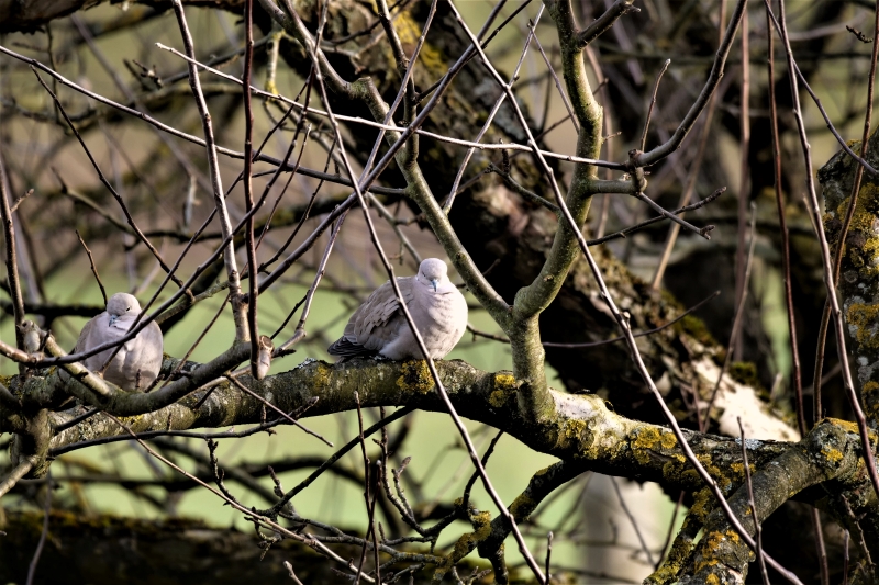 P1022187 (2) 800x533 Erfassungswinkel.JPG