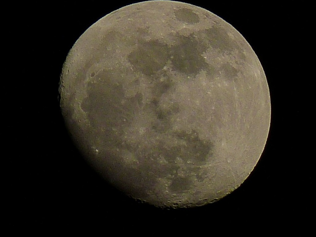 24.03.13.JPG