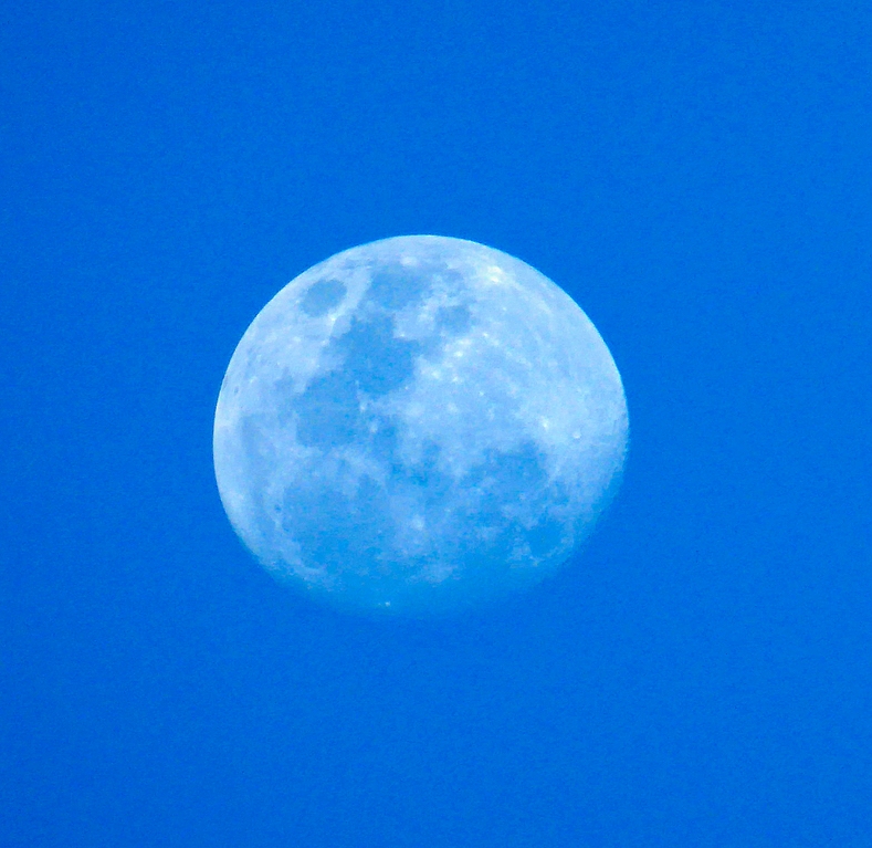 comp_P1010063.jpg