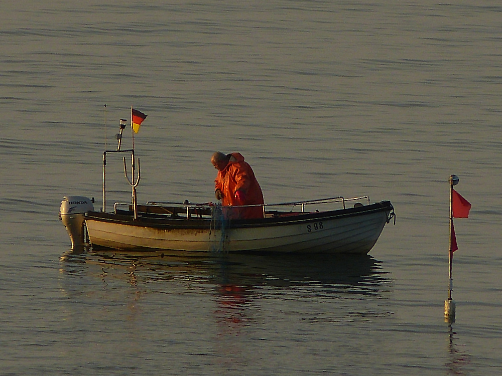 P1060917.JPG
