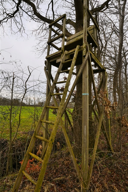 Jagdliche Einrichtung 2.jpg