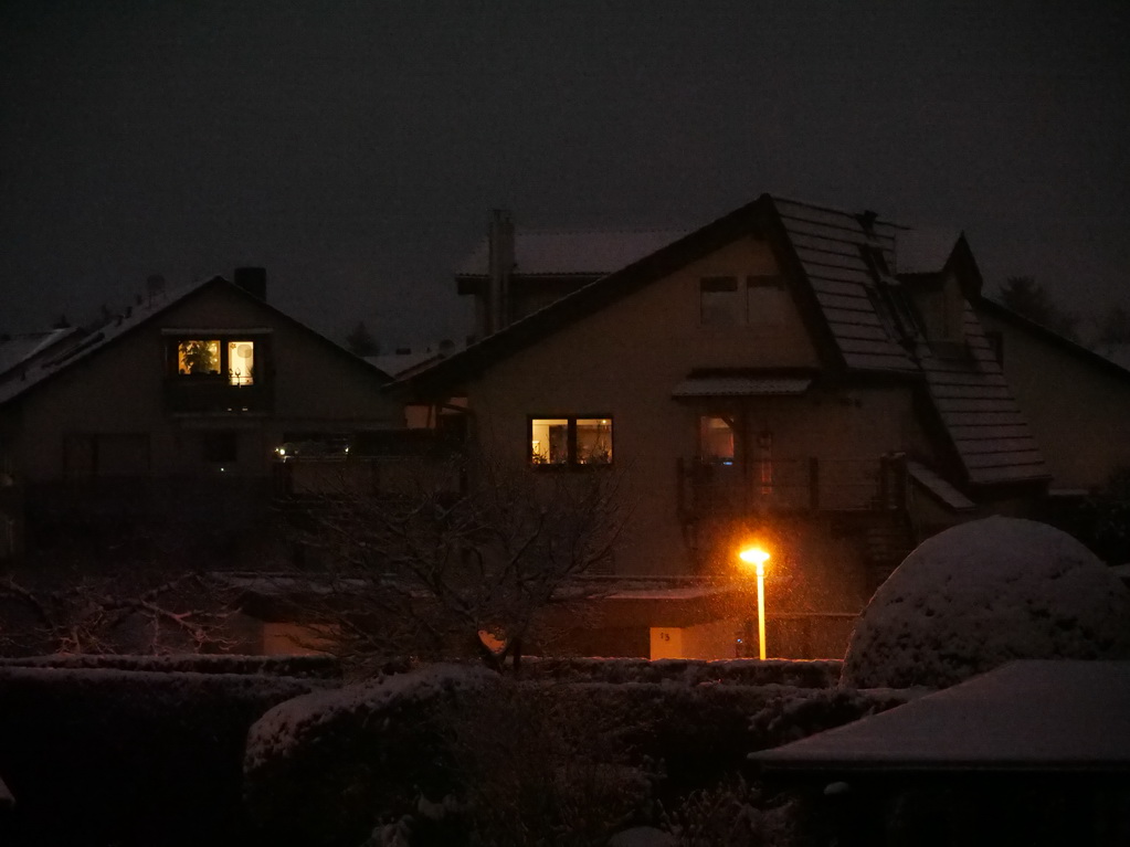 P1034266_OOCjpg_sm.JPG
