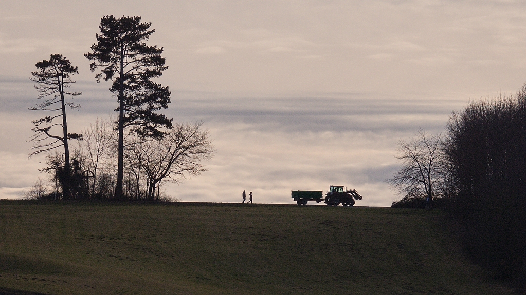 comp_P1023204 V1.jpg