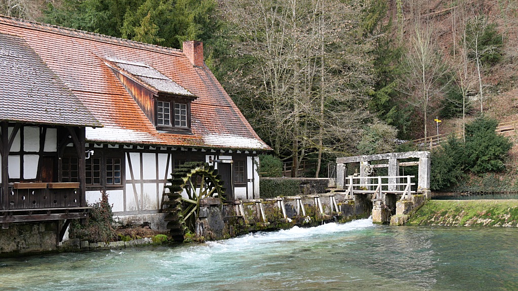 P1000374_small.jpg