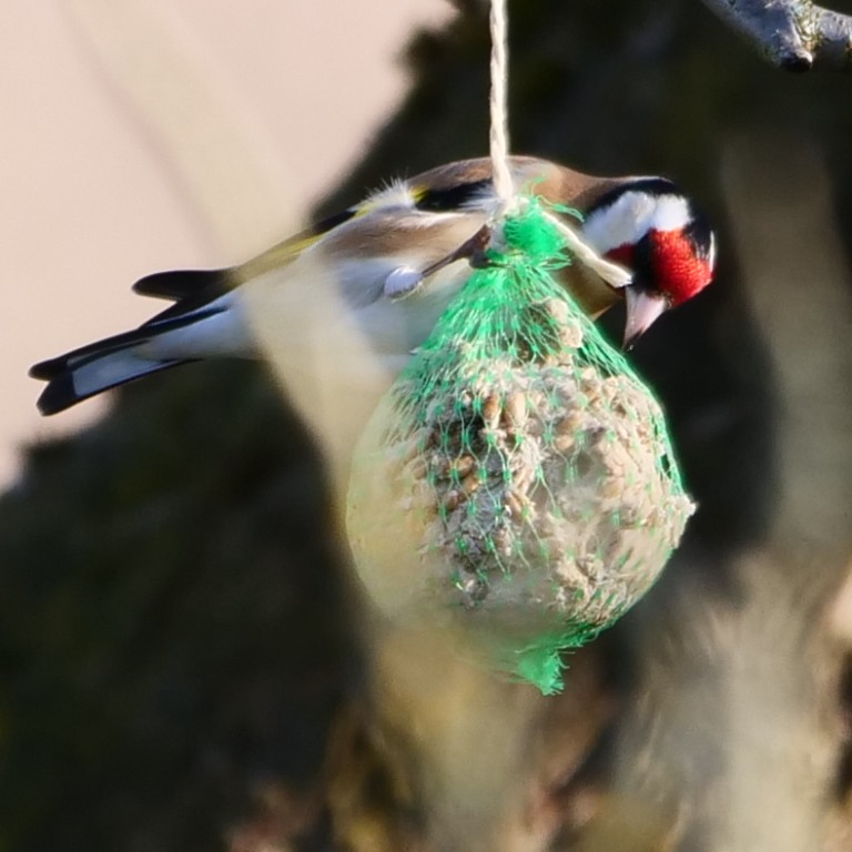 P1043499_790 x 790_cr.jpg