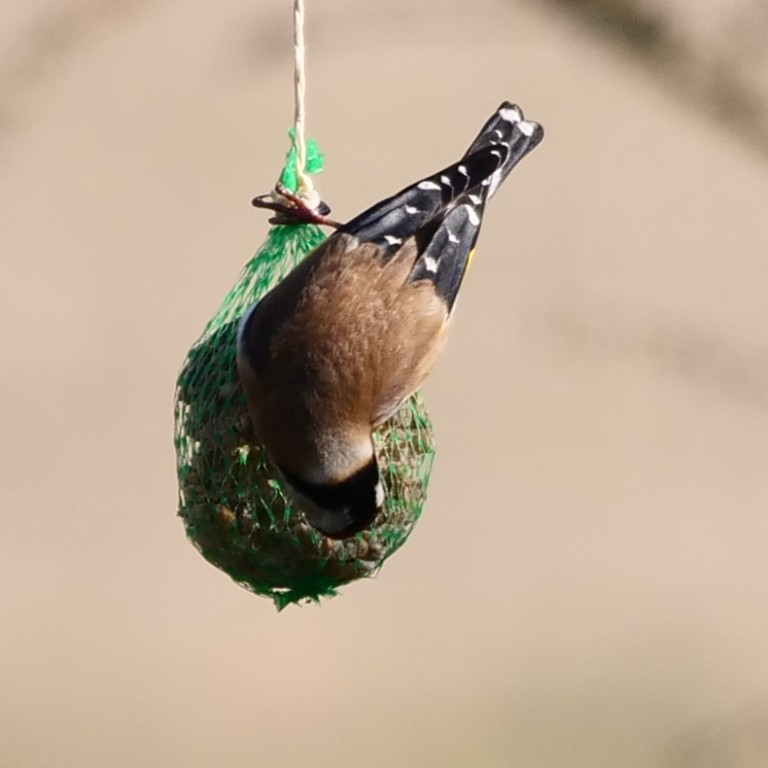 P1043515_790 x 790_cr.jpg