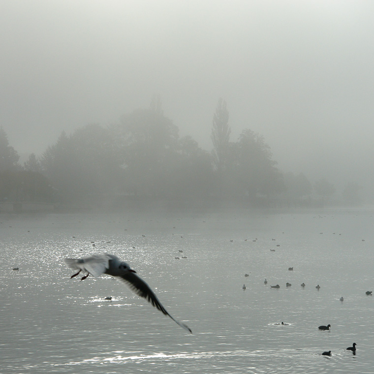 DSC03797.jpg