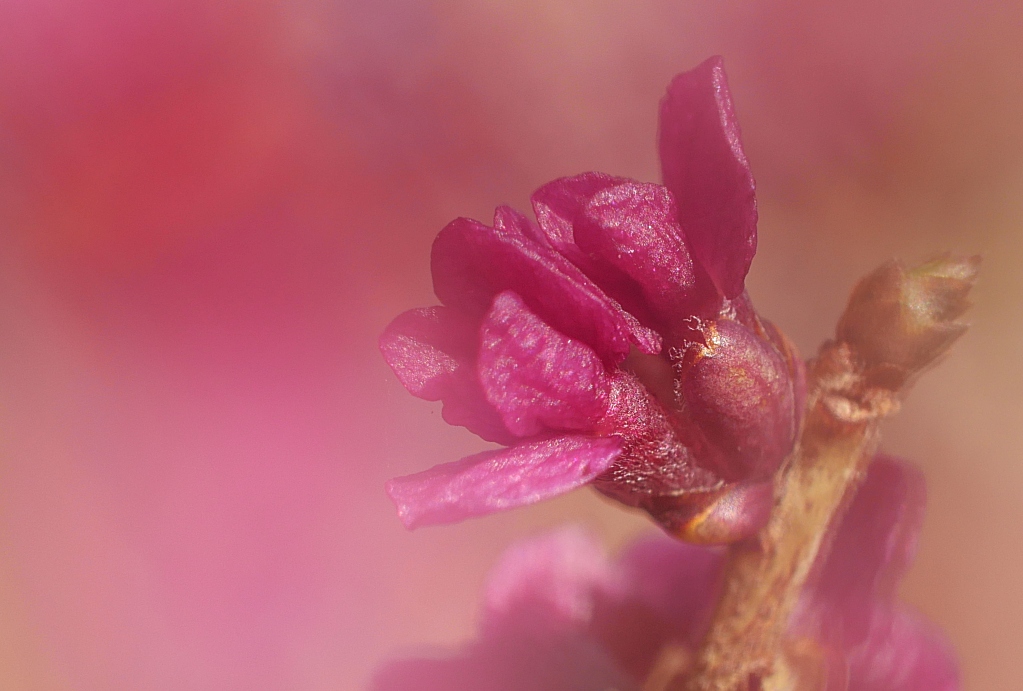 P1000469_small.jpg
