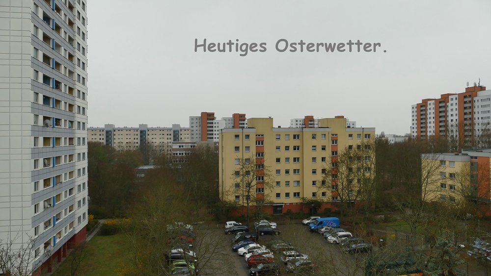 P1540474 x Heutiges Osterwetter.jpg