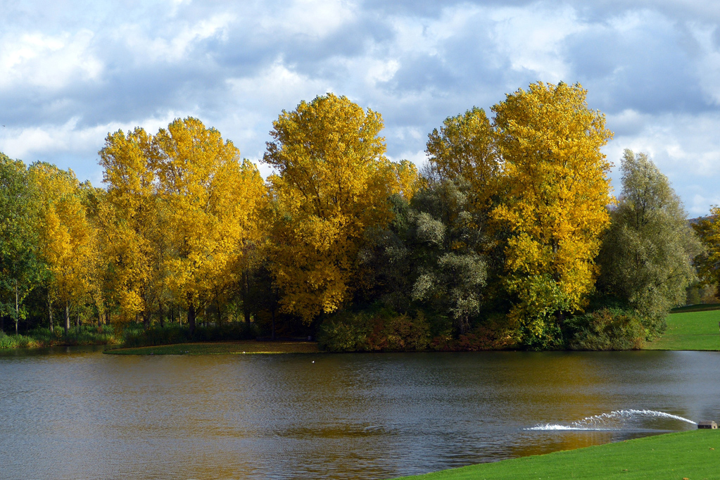 Herbst in der Rheinaue Kopie.jpg