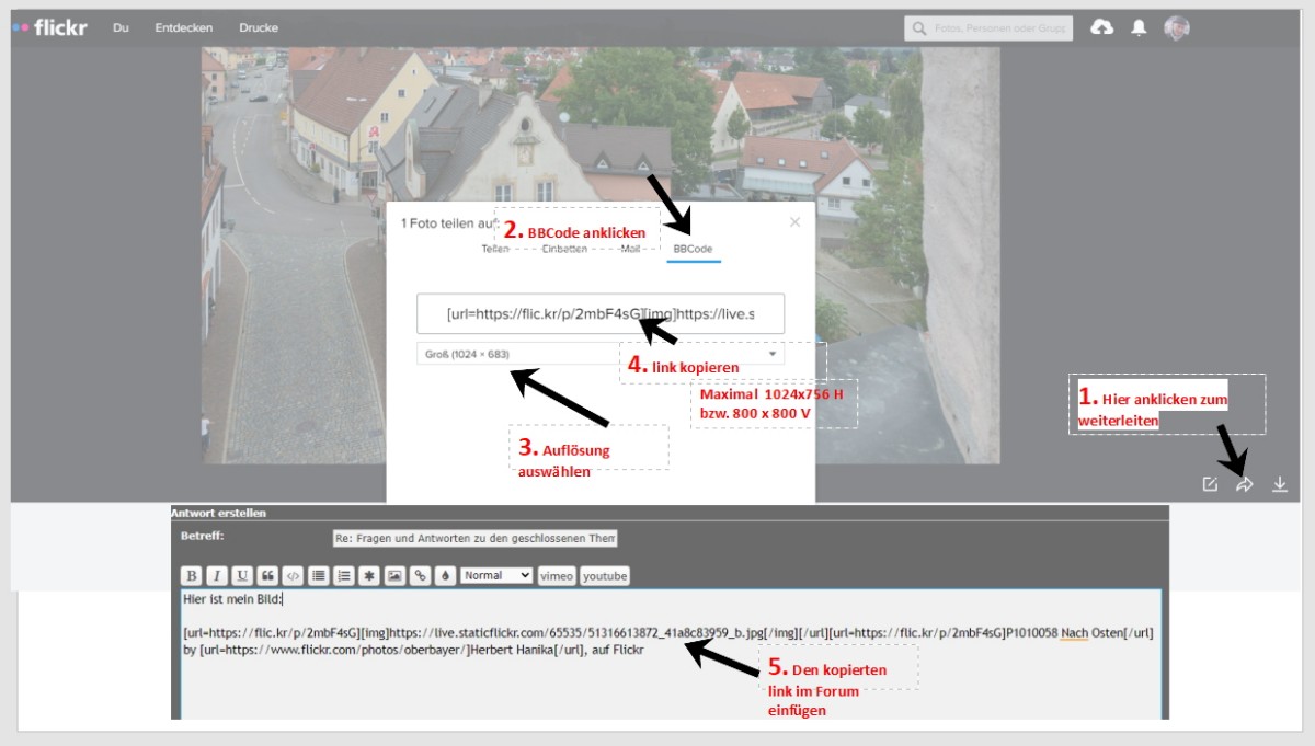Anleitung Flickr zu Forum.jpg
