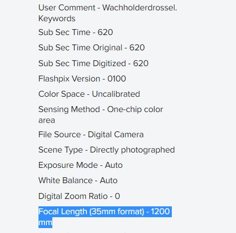 Uwe FZ1000 II Wachholderdrossel 1200 mm KB-Brennweite.JPG
