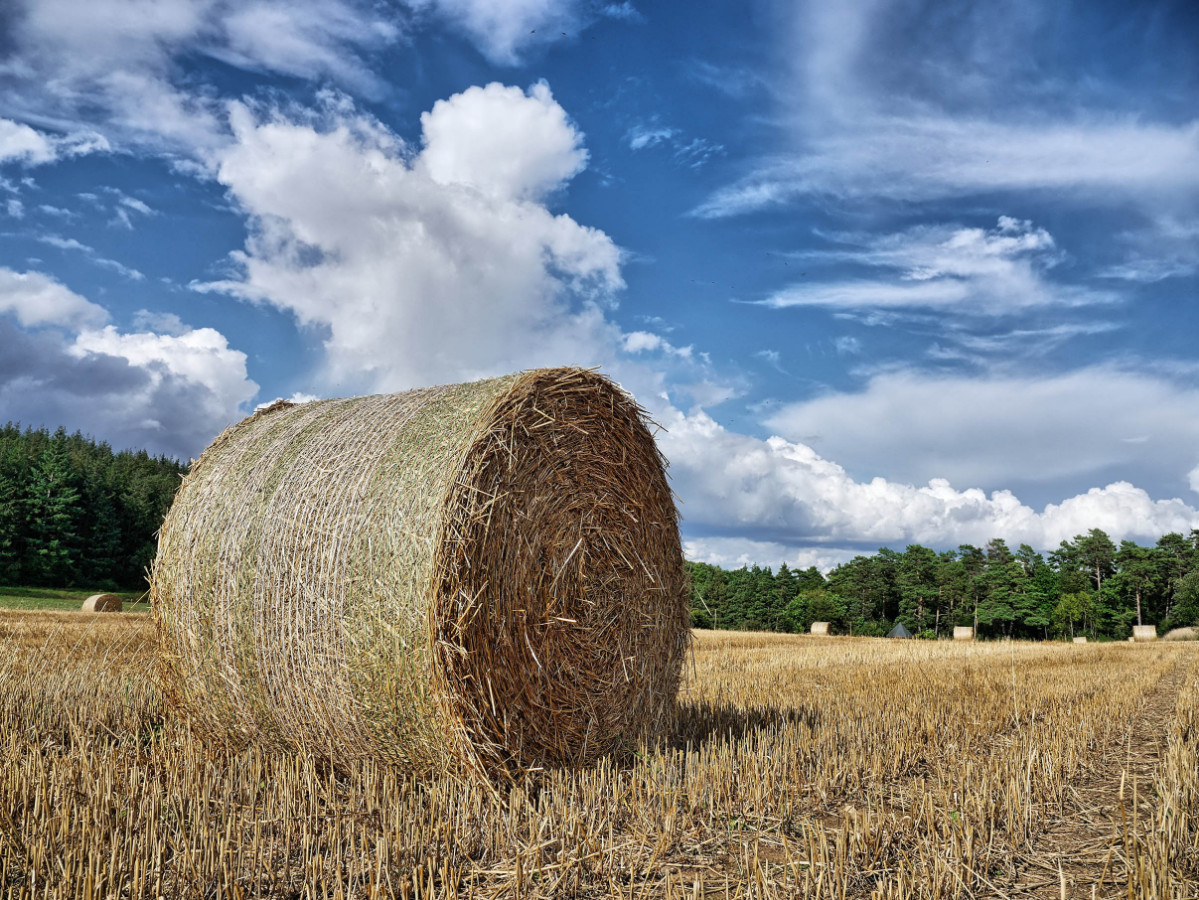 eschweilerrunde 1289 90 91smartK2.jpg