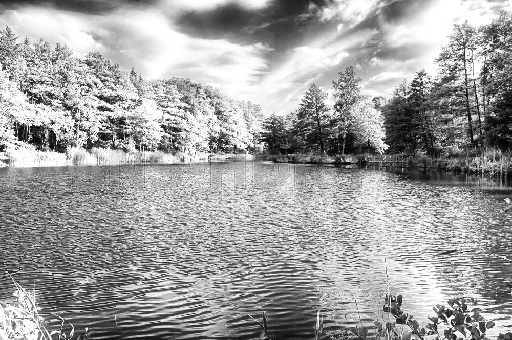 20120613_6553_ir.jpg