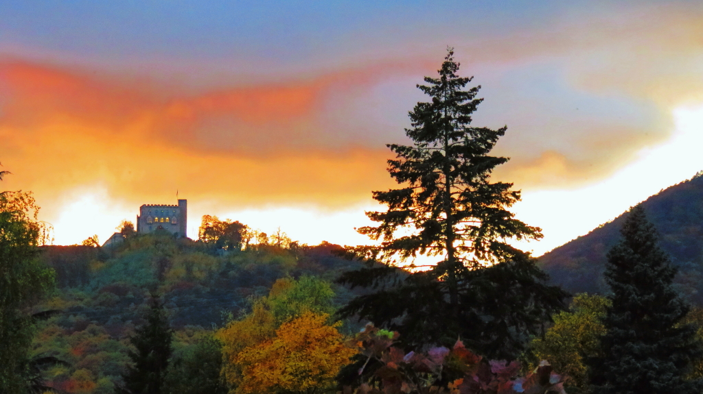 Hambacher Schlossblick_1.JPG