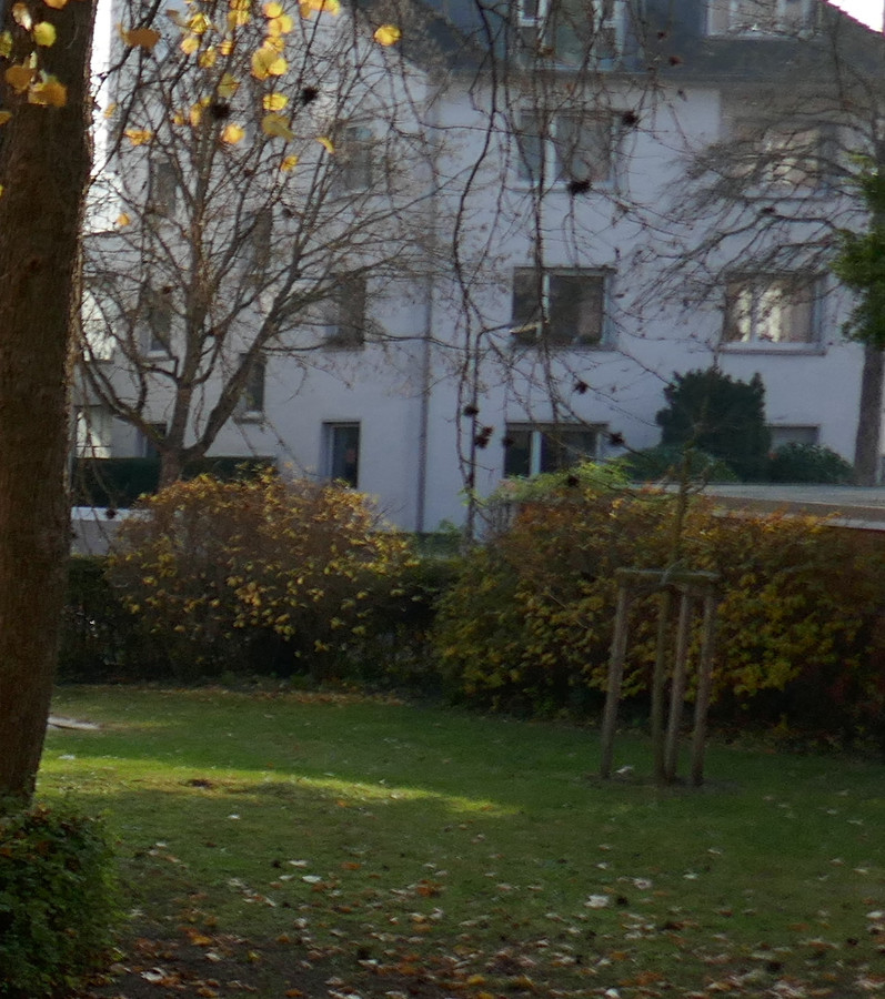 P1000089_ausschnitt.jpg