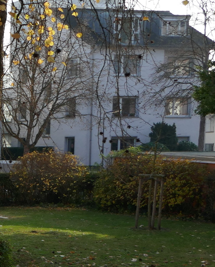 P1000090-2_ausschnitt.jpg