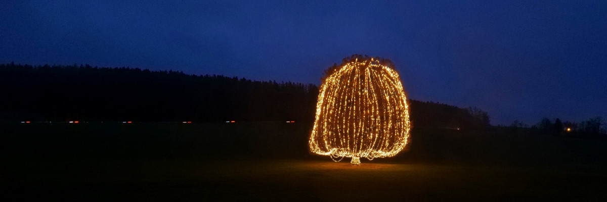 20211229-172011-133S5a.jpg