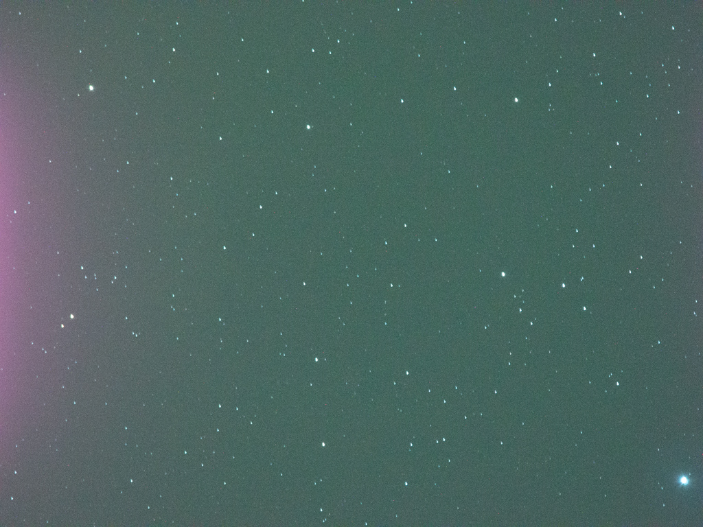 P1533356.jpg