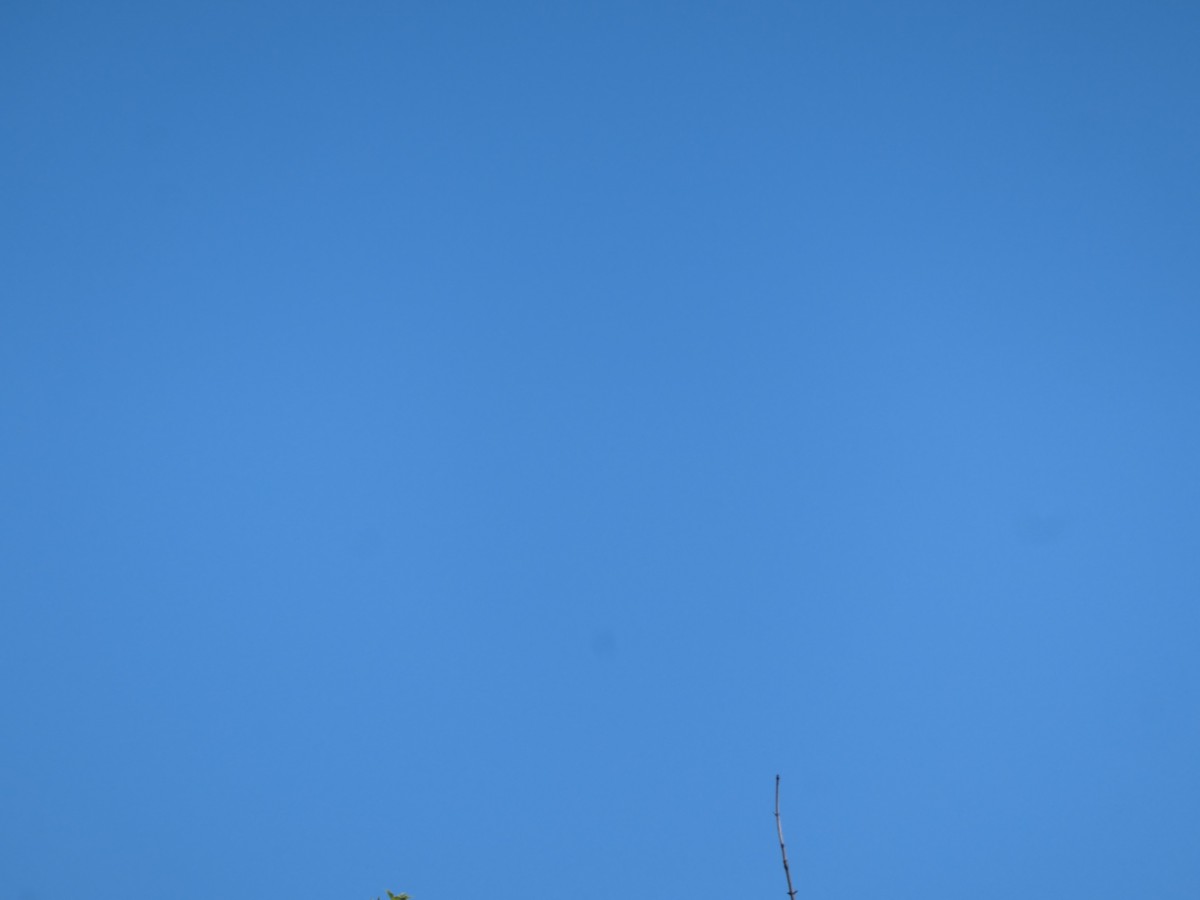 2022-07-03 15-54-30_Bildgröße ändern.JPG